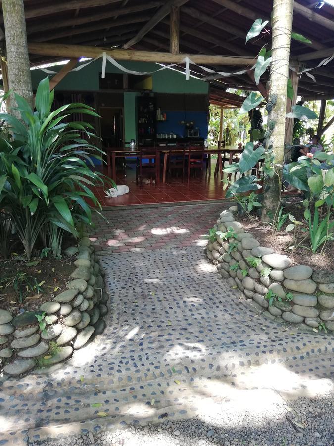 Hospedaje El Bosquecito Uvita Exterior photo