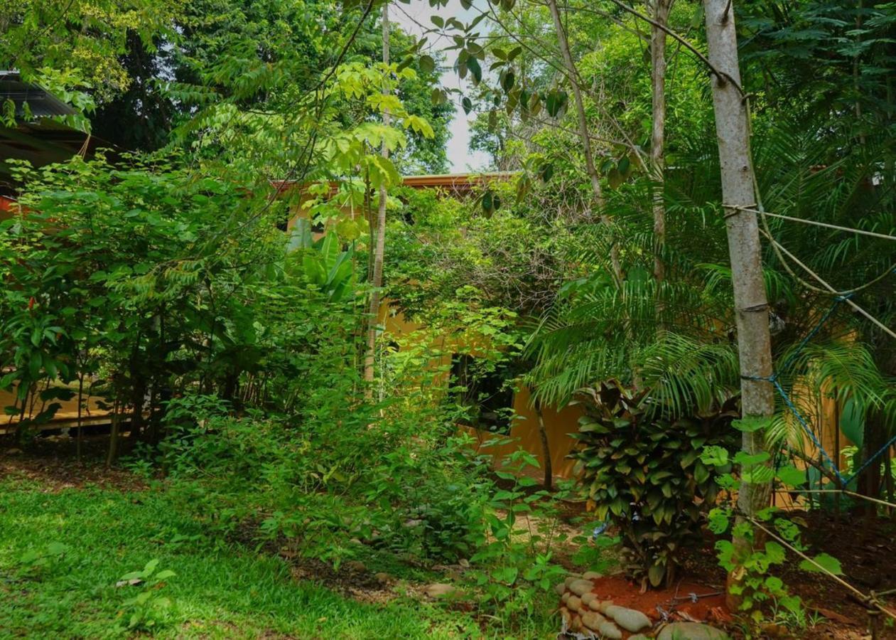 Hospedaje El Bosquecito Uvita Exterior photo