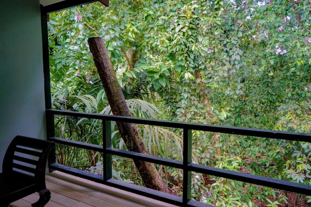 Hospedaje El Bosquecito Uvita Exterior photo