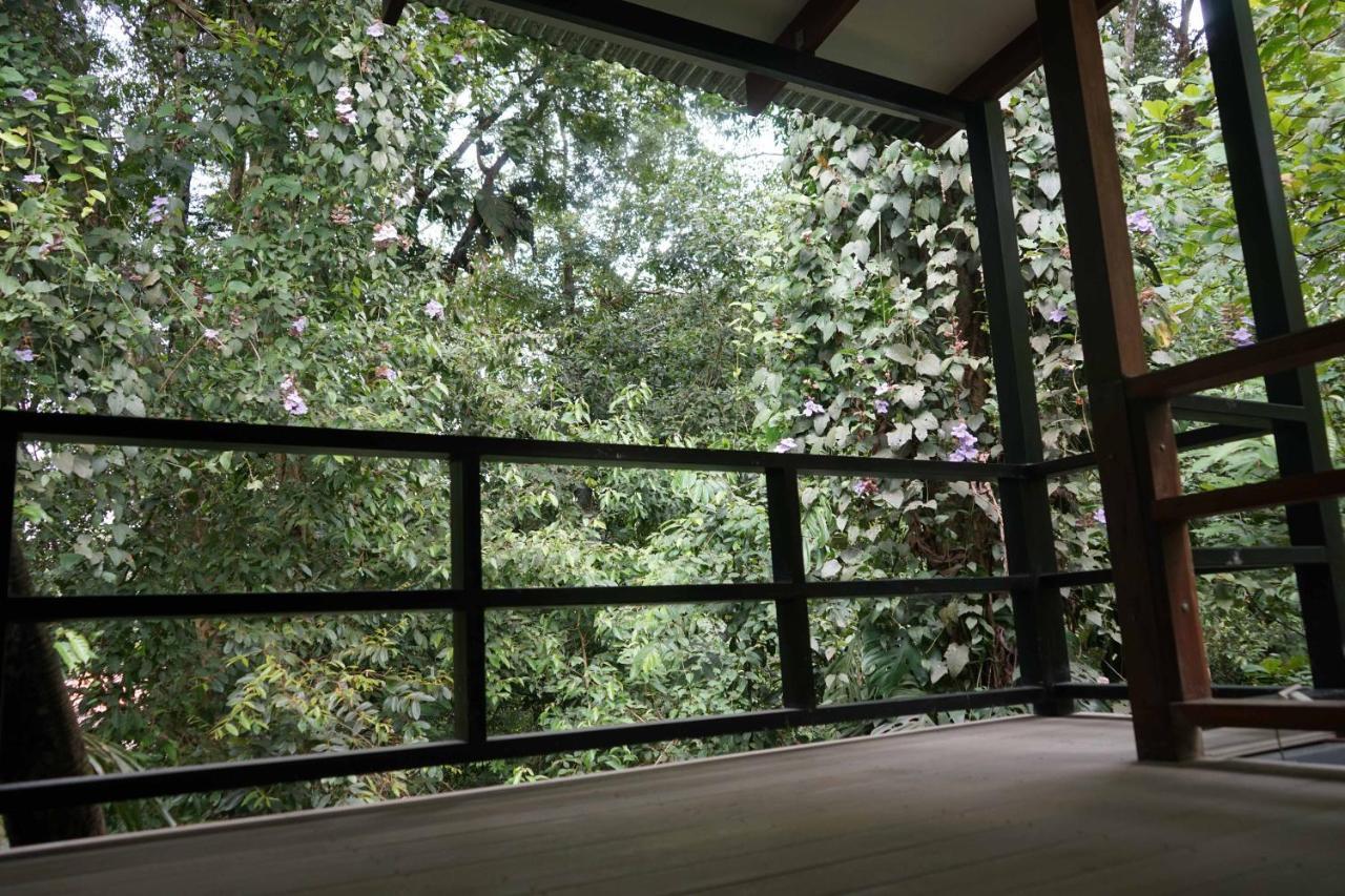 Hospedaje El Bosquecito Uvita Exterior photo